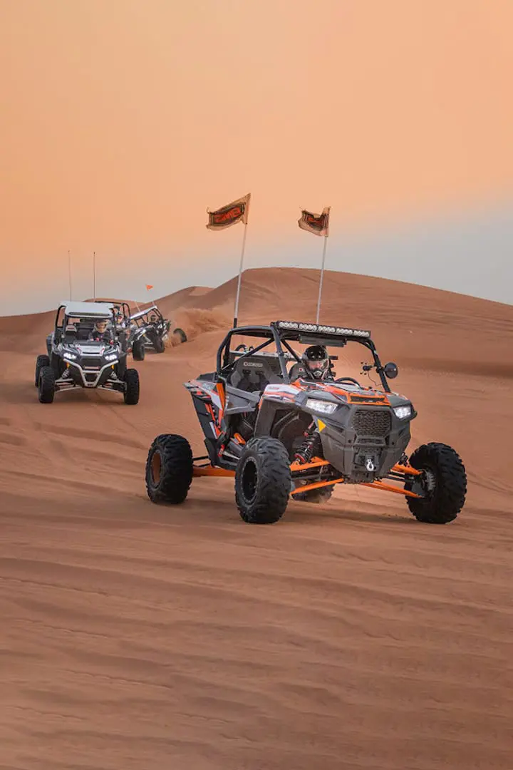 Royal Desert Safari in 4x4 Car & Live BBQ Dinner — photo 2 of 4